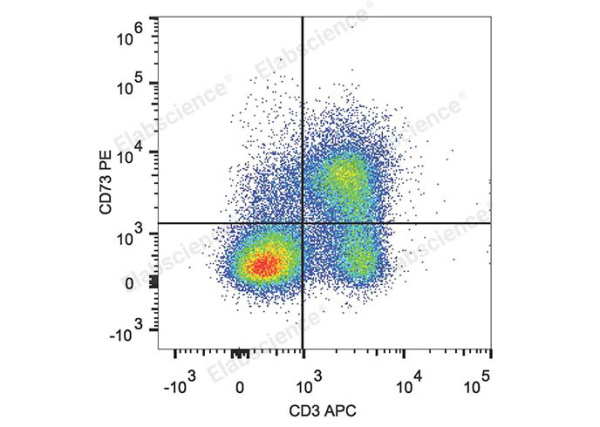PE Anti-Mouse CD73 Antibody[TY/23] (E-AB-F1089UD)