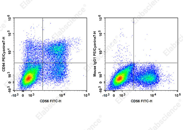 PE/Cyanine7 Anti-Human CD94 Antibody[DX22] (E-AB-F1384H)