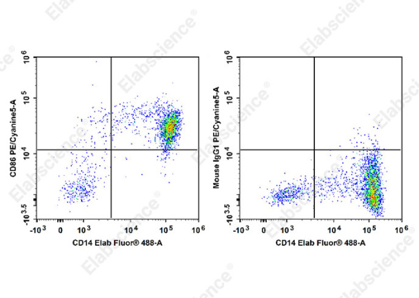 PE/Cyanine5 Anti-Human CD86 Antibody[BU63] (E-AB-F1012G)