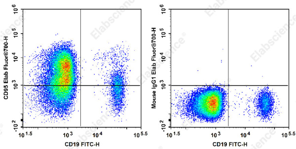 Elab Fluor® 700 Anti-Human CD95/Fas Antibody[DX2] (E-AB-F1168M1)