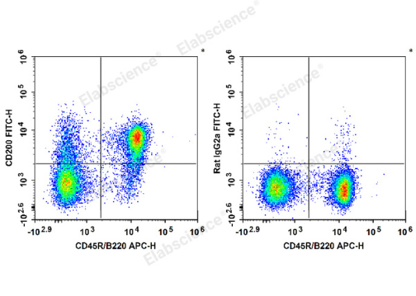 FITC Anti-Mouse CD200/OX2 Antibody[OX-90] (E-AB-F1234UC)