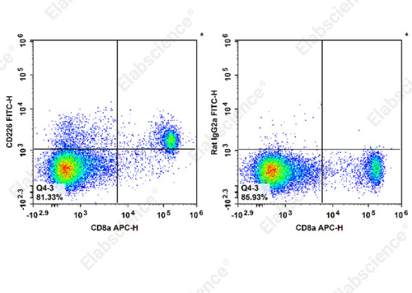 FITC Anti-Mouse CD226 Antibody[480.1] (E-AB-F1419C)