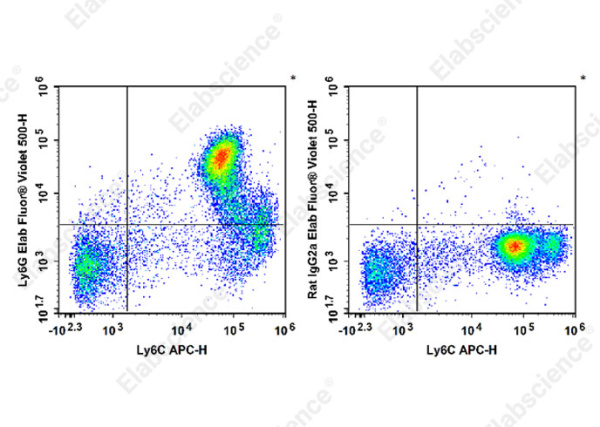 Elab Fluor® Violet 500 Anti-Mouse Ly6G Antibody[1A8] (E-AB-F1108UR)