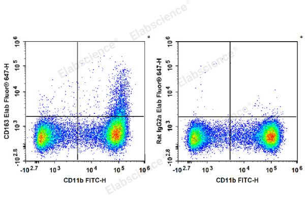 Elab Fluor® 647 Anti-Mouse CD163 Antibody[S15049F] (E-AB-F1295M)