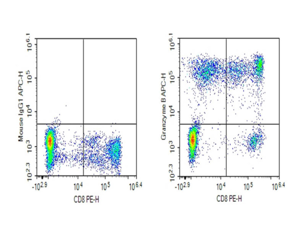 Purified Anti-Human/Mouse Granzyme B Antibody[QA16A02] (AN009690P)