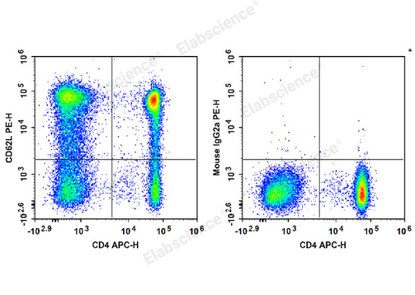 PE Anti-Human CD62L Antibody[HI62L] (E-AB-F1336D)