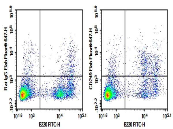 Purified Anti-Mouse CD249(Ly-51) Antibody[6C3] (AN006180P)