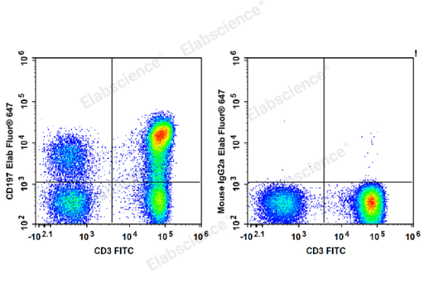 Elab Fluor® 647 Anti-Human CD197/CCR7 Antibody[G043H7] (E-AB-F1159M)