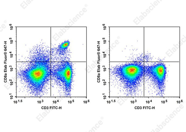 Elab Fluor® 647 Anti-Mouse CD8a Antibody[YTS169.4] (AN00408UM)