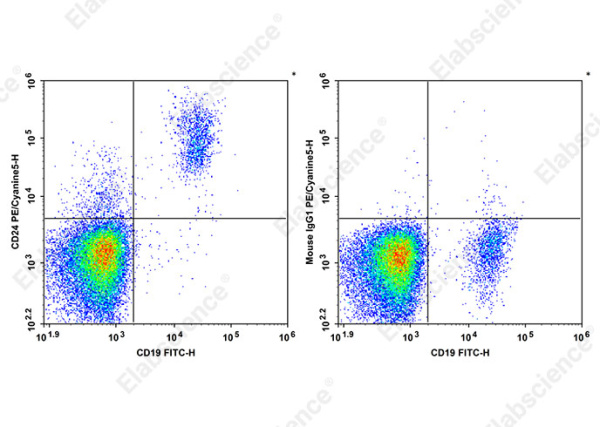 PE/Cyanine 5 Anti-Human CD24 Antibody[HIQB24] (AN00645G)