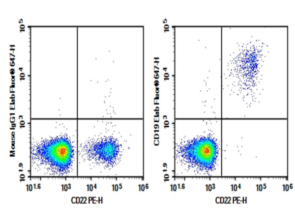 Purified Anti-Human CD19 Antibody[HIB19] (AN008610P)