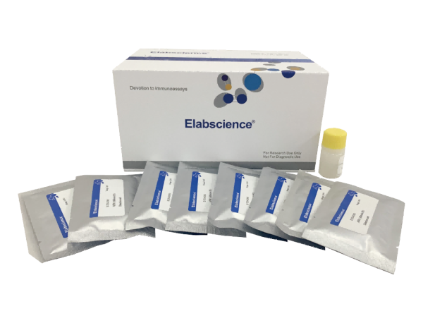 Dinotefuran Lateral Flow Assay Kit (E-FS-C195)