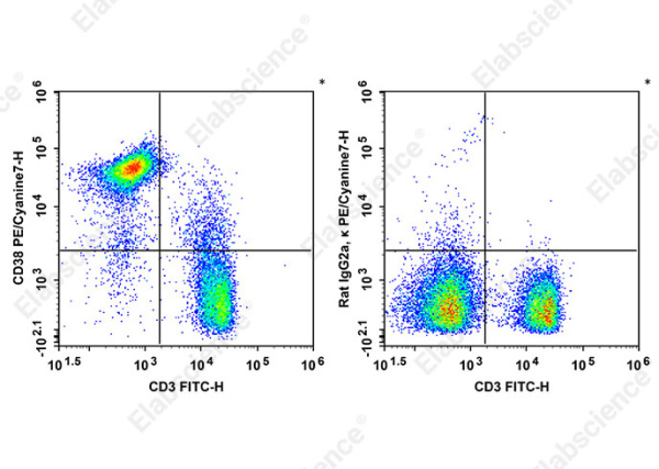 PE/Cyanine7 Anti-Mouse CD38 Antibody[90] (AN00858H)