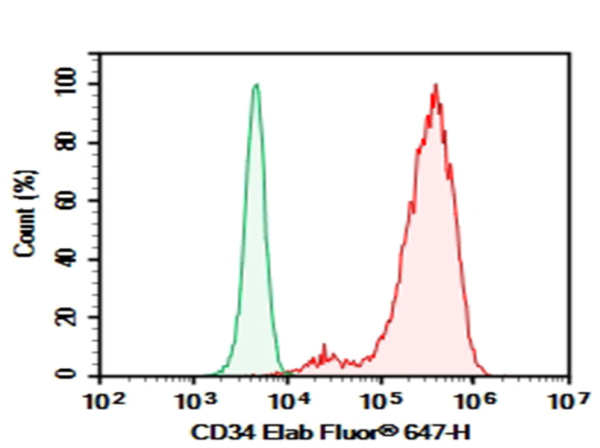Purified Anti-Human CD34 Antibody[4H11] (E-AB-F1324A)