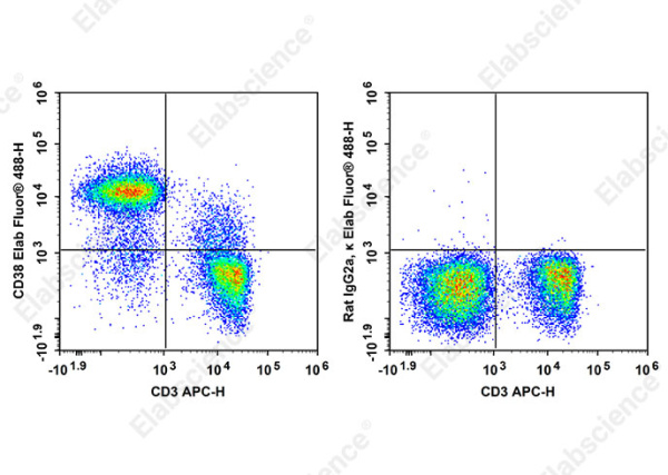 Elab Fluor® 488 Anti-Mouse CD38 Antibody[90] (AN00858L)
