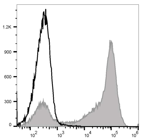 PE/Cyanine7 Anti-Mouse Ly-6G/Ly-6C (Gr-1) Antibody[RB6-8C5] (E-AB-F1120H)