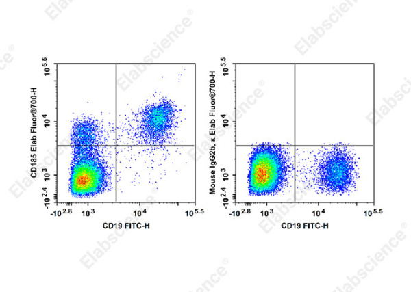 Elab Fluor® 700 Anti-Human CD185 Antibody[MU5UBEE] (E-AB-F1416M1)