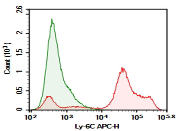 Purified Anti-Mouse Ly-6C Antibody[HK1.4] (AN008950P)