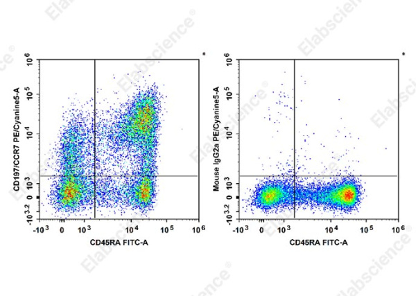 PE/Cyanine5 Anti-Human CD197/CCR7 Antibody[G043H7] (E-AB-F1159G)
