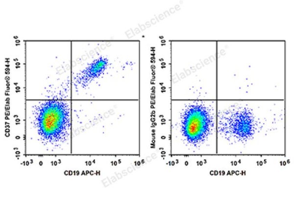 PE/Elab Fluor® 594 Anti-Human CD37 Antibody[IPO-24] (E-AB-F1063P)
