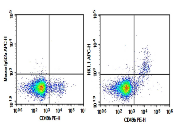 Purified Anti-Mouse CD161/NK1.1 Antibody[PK136] (E-AB-F0987A)