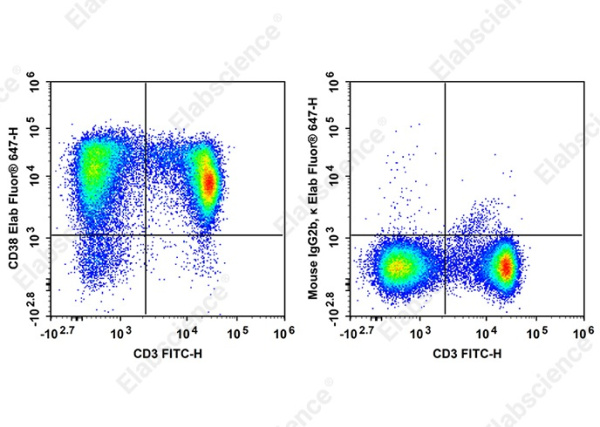 Elab Fluor®647 Anti-Rat CD38 Antibody[14.27] (AN00959M)