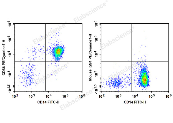 PE/Cyanine7 Anti-Human CD86 Antibody[BU63] (E-AB-F1012H)