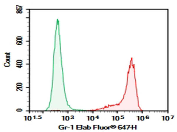 AF/LE Purified Anti-Mouse Ly-6G/Ly-6C (Gr-1) Antibody[RB6-8C5] (E-AB-F11200)
