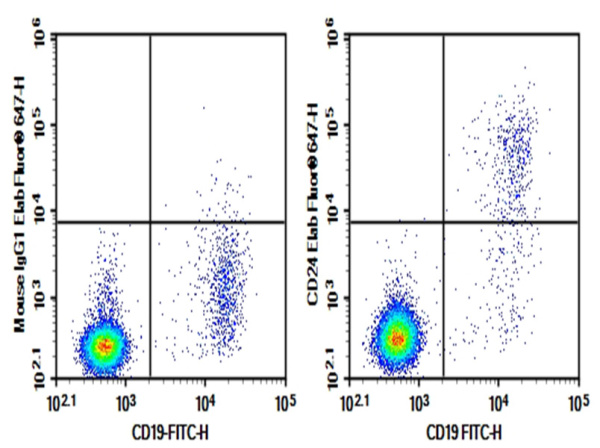 Purified Anti-Human CD24 Antibody[SN3] (AN003670P)
