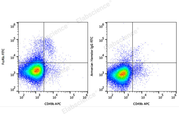 FITC Anti-Mouse FcεRIα Antibody[MAR-1] (E-AB-F1188C)