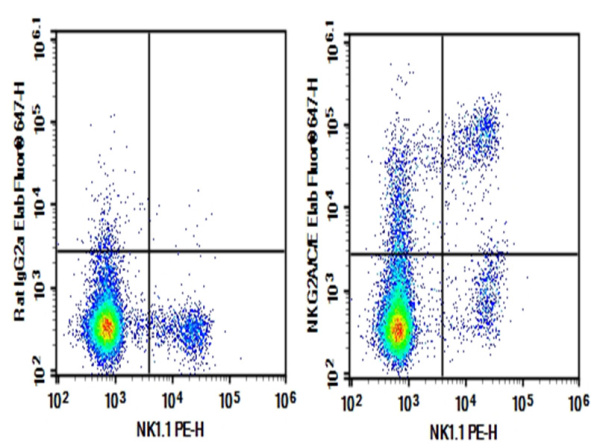 AF/LE Purified Anti-Mouse NKG2A/C/E Antibody[20D5] (AN004090)