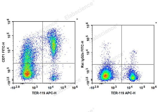 FITC Anti-Mouse CD71 Antibody[R17 217.1.3/TIB-219] (E-AB-F1093C)