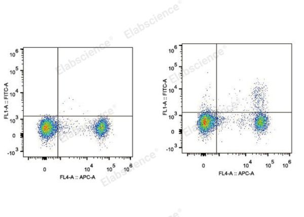 Elab Fluor® 488 Anti-Mouse CD25 Antibody[PC-61.5.3] (E-AB-F1102UL)