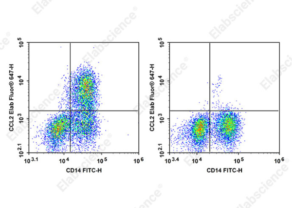 Elab Fluor® 647 Anti-Human CCL2 Antibody[2H5] (AN00841M)