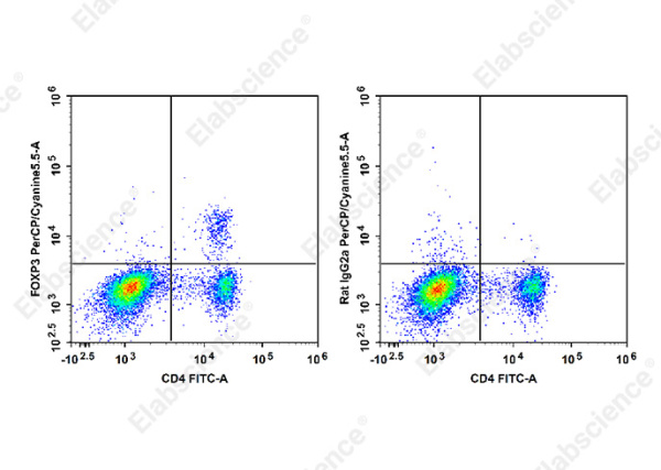 PerCP/Cyanine5.5 Anti-Mouse/Rat Foxp3 Antibody[FJK-16s] (E-AB-F1351J)