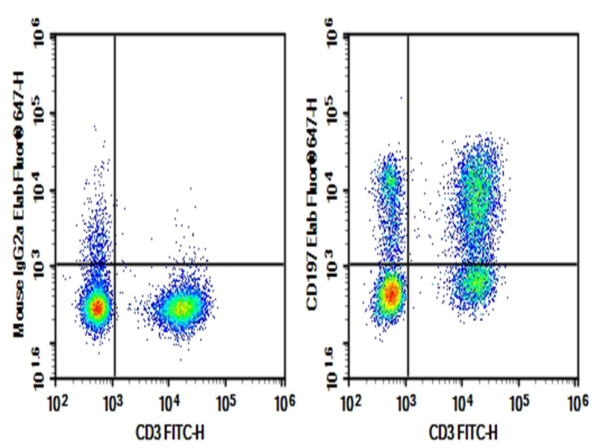 AF/LE Purified Anti-Human CD197 Antibody[G043H7] (E-AB-F11590)
