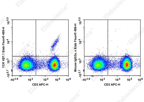 Elab Fluor®488 Anti-Human TCR Vβ7.1 Antibody[ZOE5.1] (AN00370L)