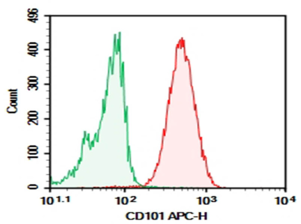 Purified Anti-Human CD101 Antibody[BB27] (E-AB-F1361A)