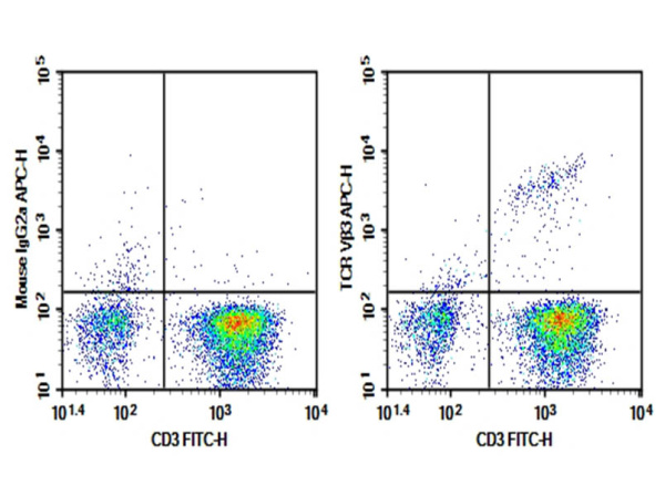 Purified Anti-Human TCR Vβ3 Antibody[JOVI.3] (AN008340P)