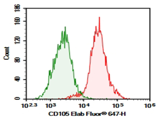 Purified Anti-Human CD105 Antibody[SN6h] (AN003640P)