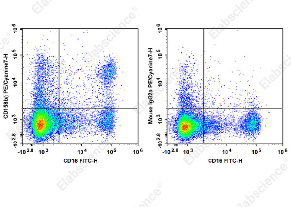 PE/Cyanine7 Anti-Human CD158b/j Antibody[DX27] (E-AB-F1381H)