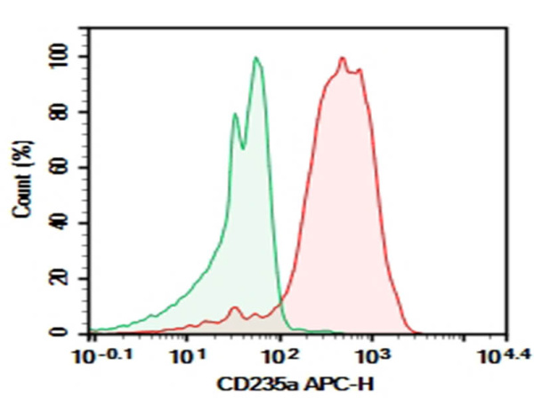 Purified Anti-Human CD235a Antibody[HI264] (AN008300P)