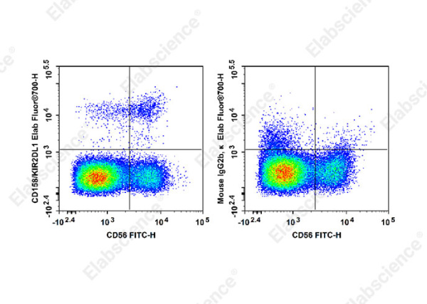 Elab Fluor® 700 Anti-Human CD158/KIR2DL1 Antibody[HP-MA4] (E-AB-F1391M1)