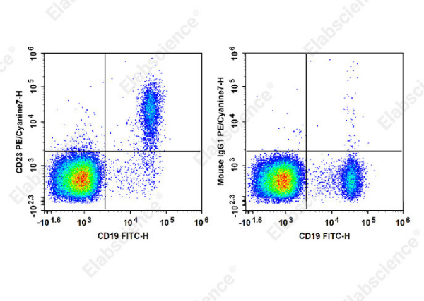 PE/Cyanine7 Anti-Human CD23 Antibody[EBVCS2] (E-AB-F1382H)