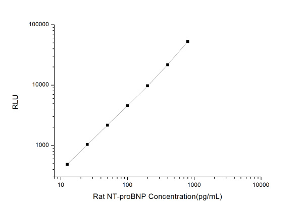 Rat NT-proBNP (N-Terminal Pro-Brain Natriuretic Peptide) CLIA Kit (E-CL-R0485)