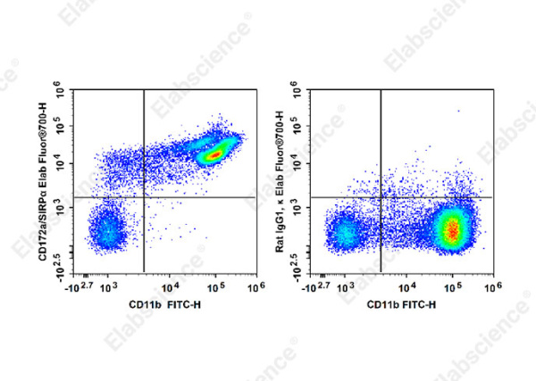 Elab Fluor® 700 Anti-Mouse CD172a/SIRPα Antibody[P84] (E-AB-F1286UM1)