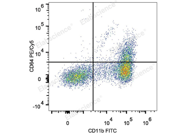PE/Cyanine5 Anti-Mouse CD64/FcγRI Antibody[X54-5/7.1] (E-AB-F1186UG)