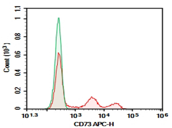 Purified Anti-Human CD73 Antibody[AD2] (E-AB-F12420P)