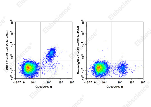 Elab Fluor® Violet 450 Anti-Human CD21 Antibody[HI21a] (E-AB-F1320Q)