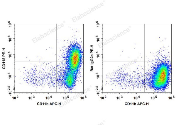 PE Anti-Mouse CD115/CSF-1R Antibody[AFS98] (E-AB-F1107D)